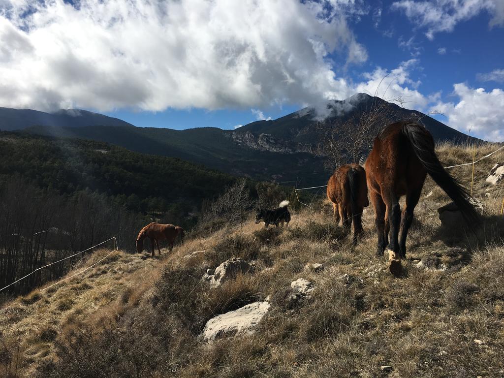 El Jou Nature Sant Corneli Buitenkant foto