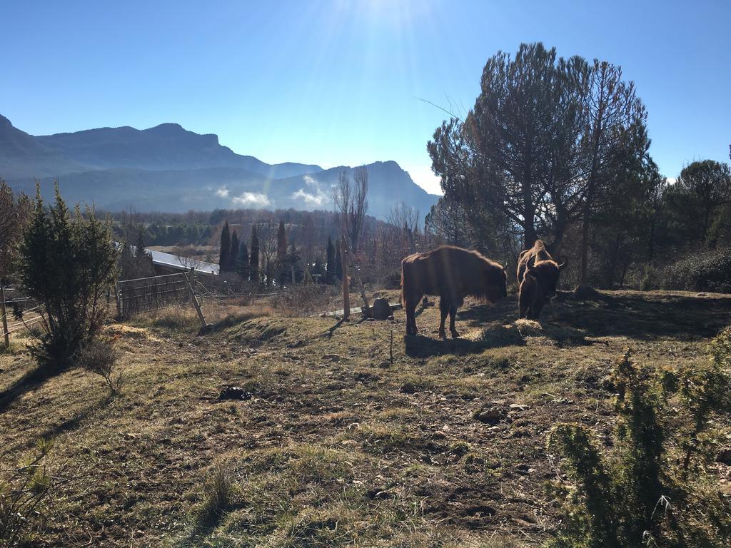 El Jou Nature Sant Corneli Buitenkant foto