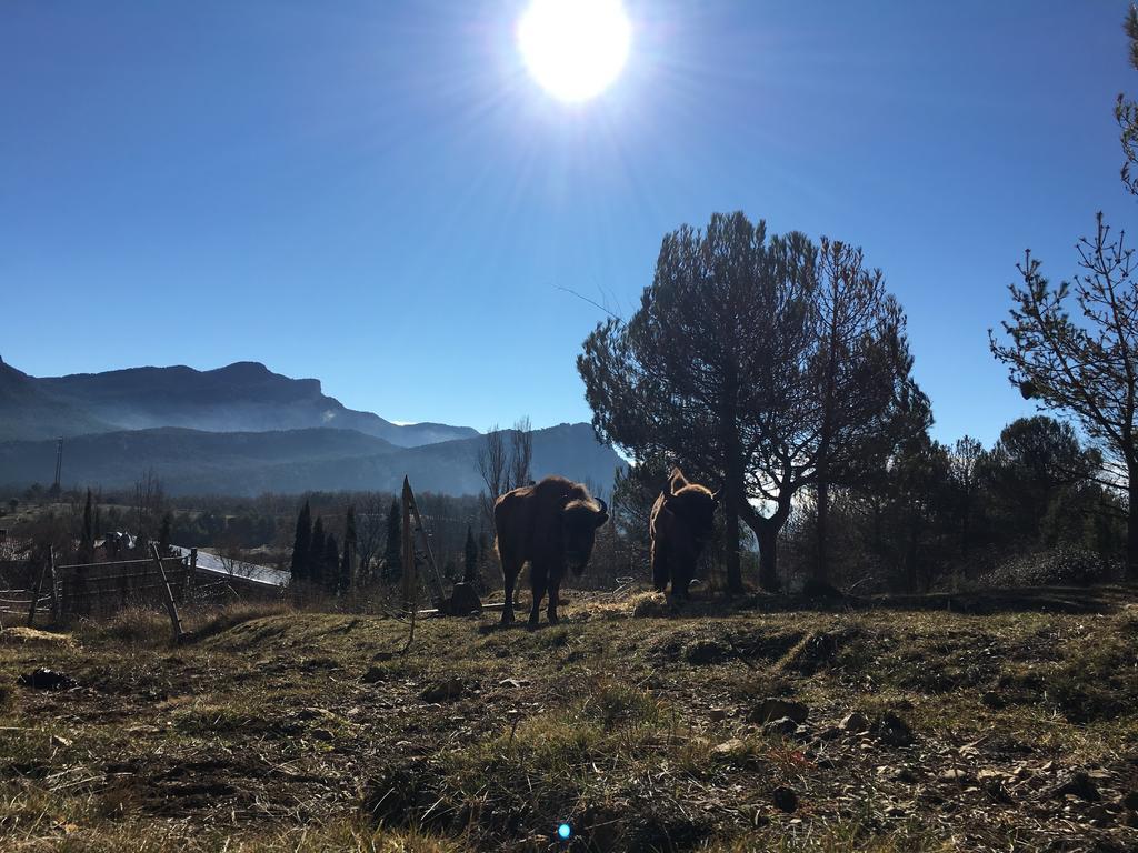El Jou Nature Sant Corneli Buitenkant foto