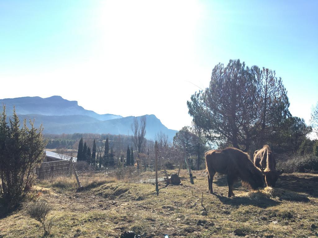 El Jou Nature Sant Corneli Buitenkant foto