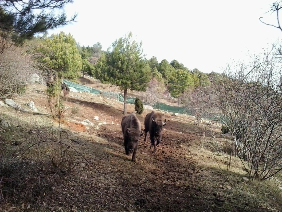 El Jou Nature Sant Corneli Buitenkant foto